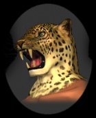 King the 2nd-Head Pic